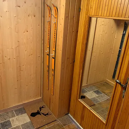 Appartement In&ski Out At Heinrich *